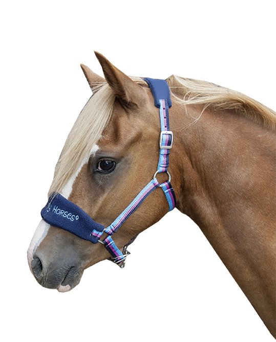 Licol -Funny Horses- - Bleu foncé, bleu, rose foncé (2)
