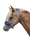 Licol -Funny Horses- - Bleu foncé, bleu, rose foncé (2)