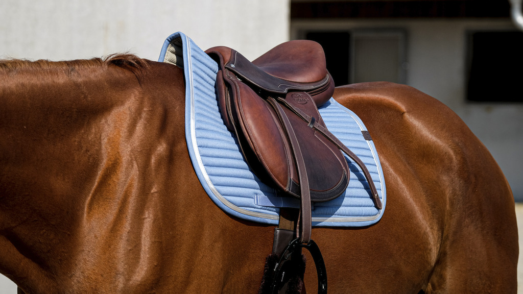 Tapis de selle EQUITHEME "Spring"