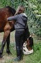 Sweat EQUITHÈME "Palerme", enfant
