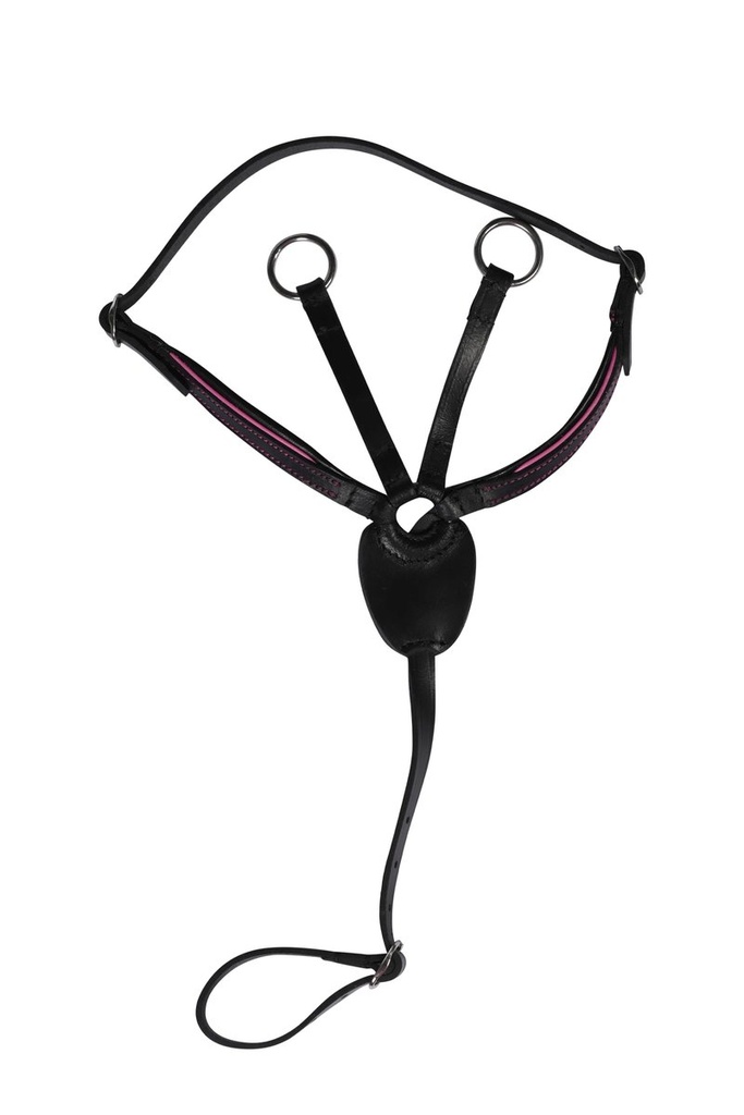 Martingale Manchester -Hobby H - Noir/fuchia