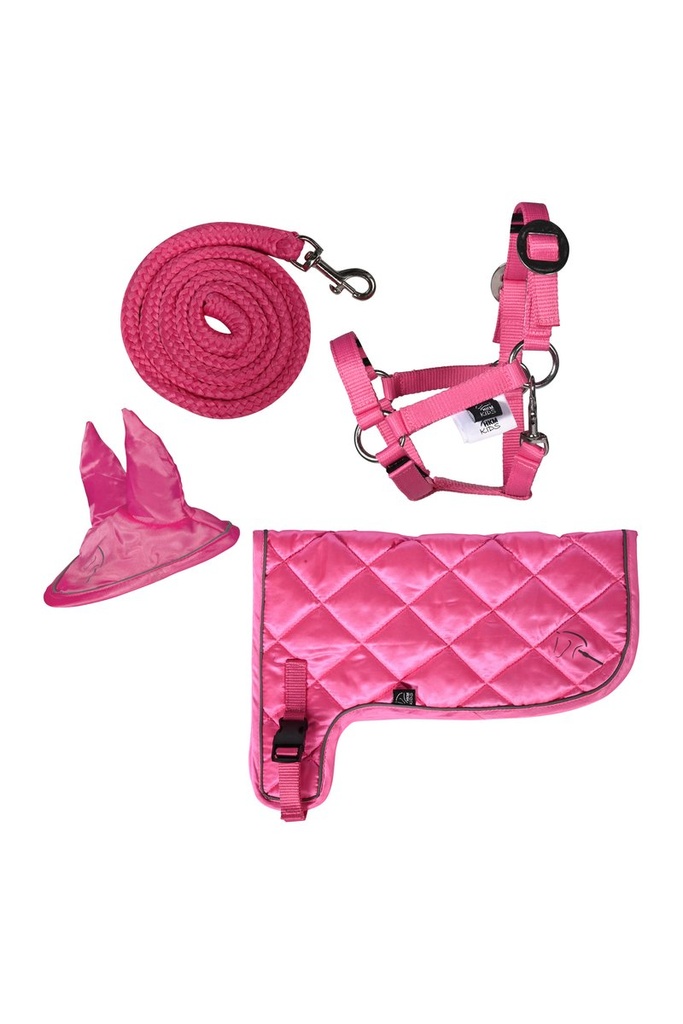 Set néon -Hobby Horsing- - Rose