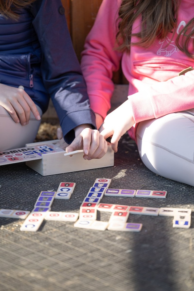 Domino - Multicolore (13)