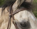 Bridon WESTRIDE by Franck Perret "Colorado"