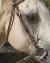 Bridon WESTRIDE by Franck Perret "Colorado"