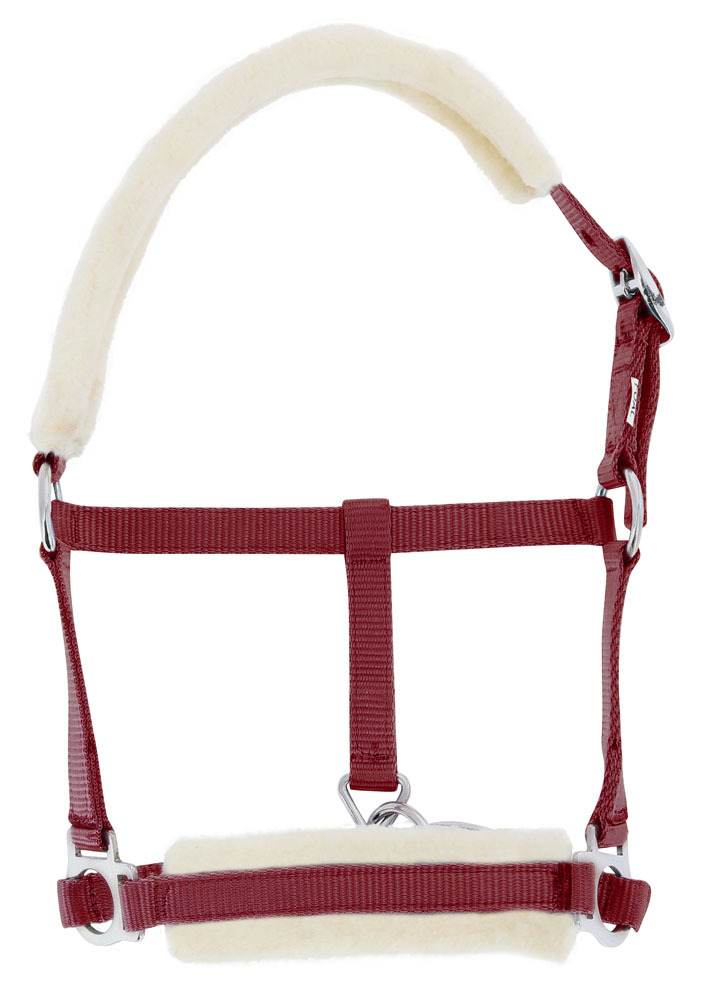 Licol foal RIDING WORLD mouton synthétique