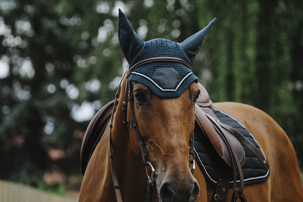 Bonnet chasse mouche EQUITHEME "Domino"
