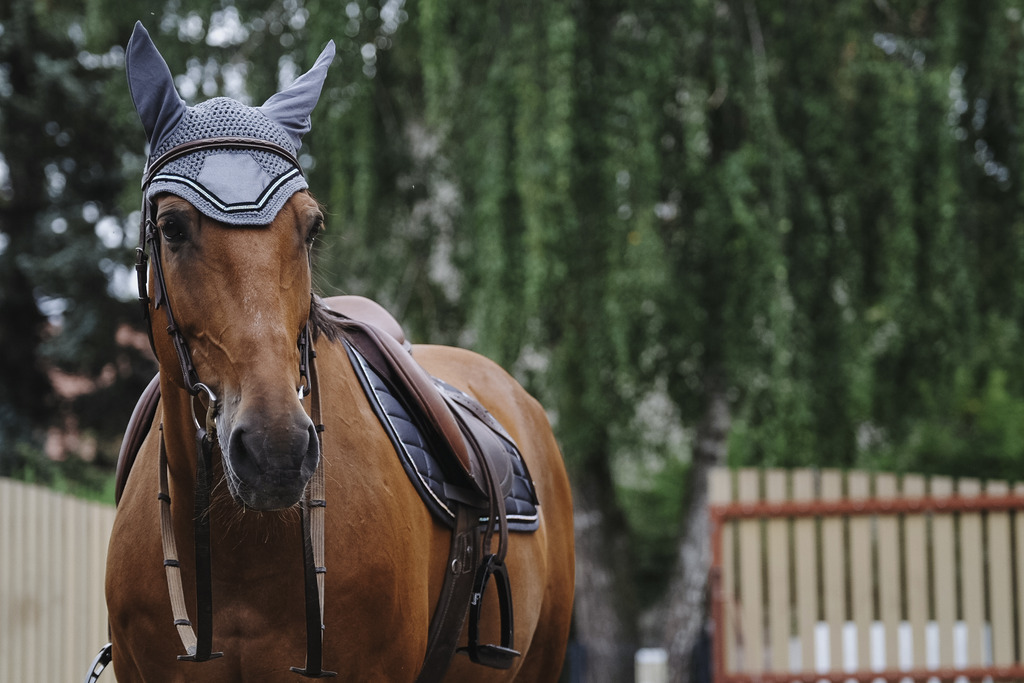 Bonnet chasse mouche EQUITHEME "Domino"