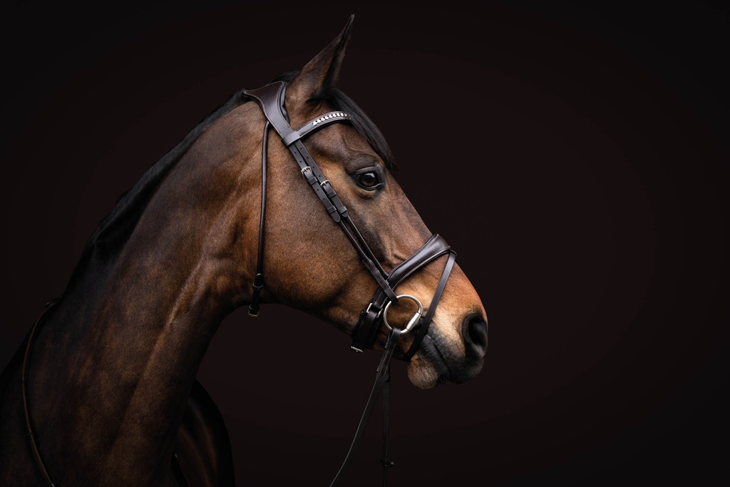 Bridon HKM Arezzo, détail des boucles métalliques