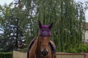 Bonnet chasse mouche EQUITHEME "Domino"