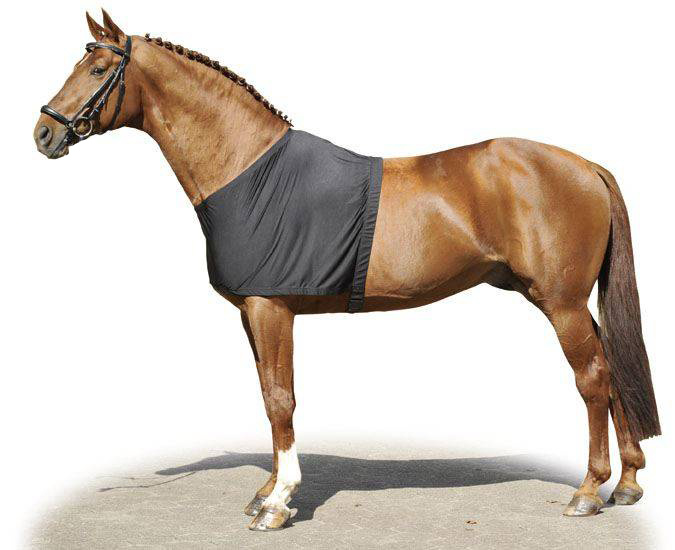 Protection du poitrail HKM installée sur un cheval