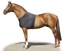Protection du poitrail HKM installée sur un cheval