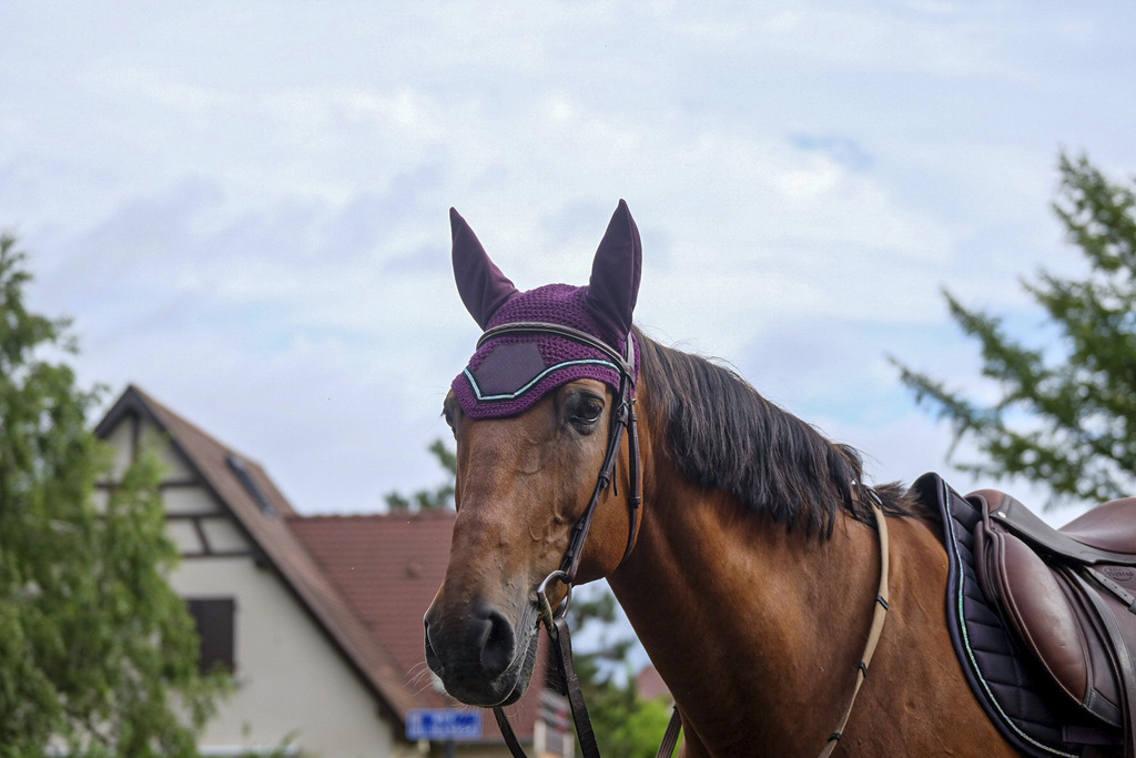 Bonnet chasse mouche EQUITHEME "Domino"