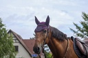 Bonnet chasse mouche EQUITHEME "Domino"