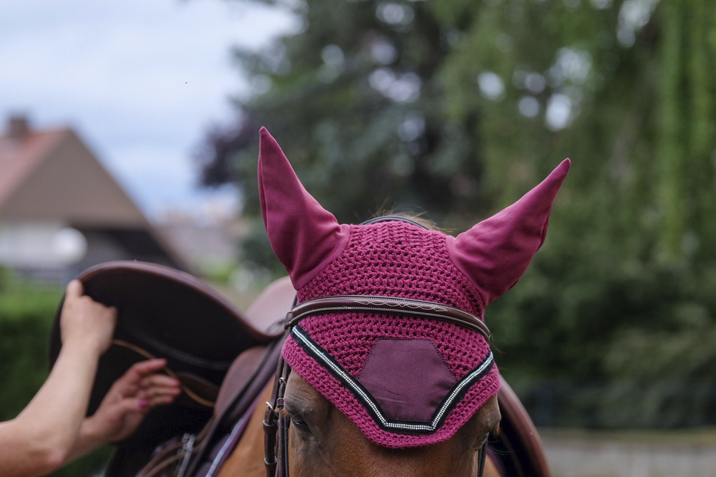 Bonnet chasse mouche EQUITHEME "Domino"