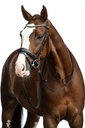Bridon HKM Bella, détail du frontal avec strass