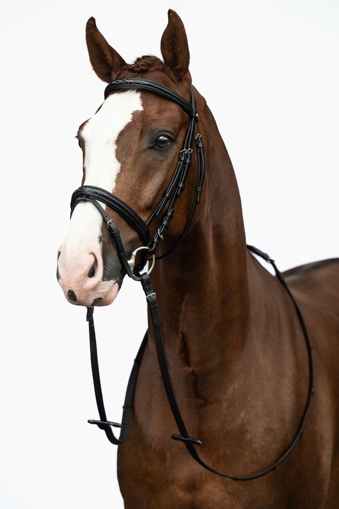 Bridon HKM Jana, détail des raccords argent dépoli