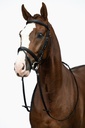 Bridon HKM Jana, détail des raccords argent dépoli