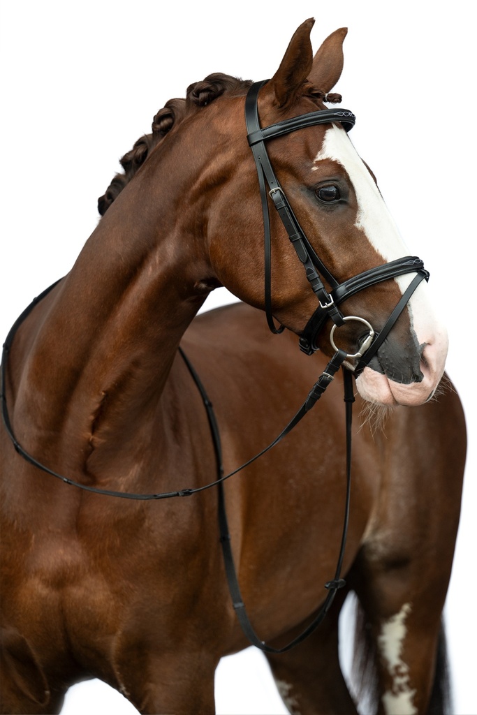 Bridon HKM Jana porté sur la tête du cheval