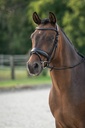 Bridon HKM Ira porté sur la tête du cheval