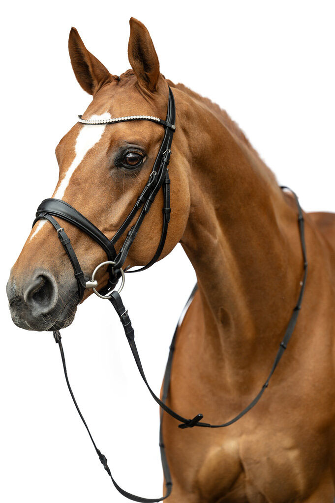 Bridon HKM Melinda, détail de la muserolle conique