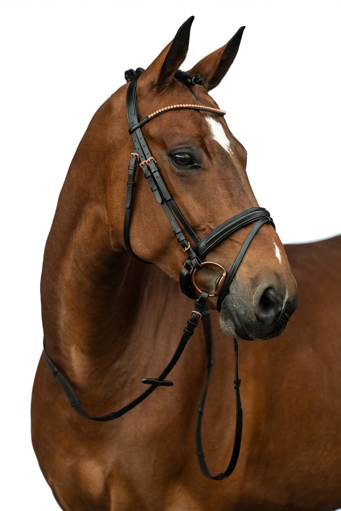 Bridon HKM Rosegold Glamour, détail du frontal strass