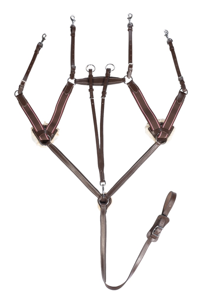 Collier de chasse HKM cinq points, vue d'ensemble