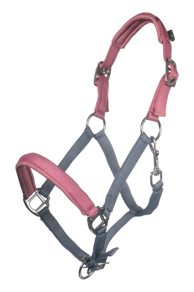 Licol HKM Kids Barnie, vue d'ensemble