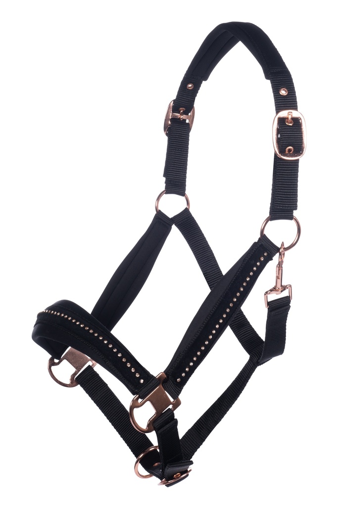 Licol HKM Berry, vue d'ensemble