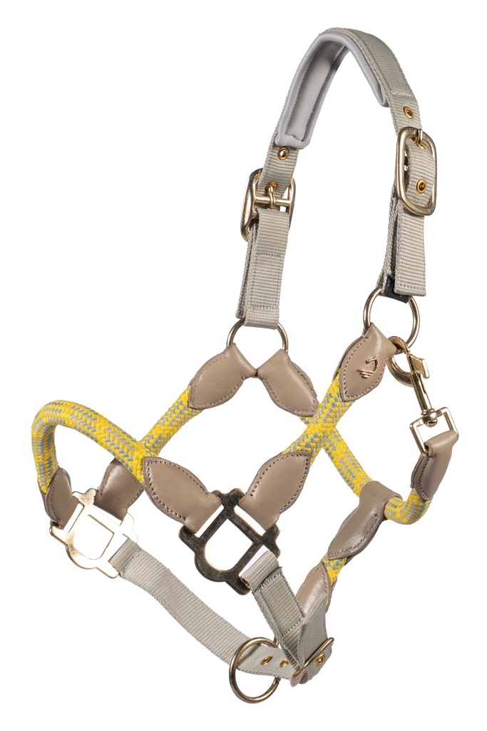 Licol Lauria Garrelli Limone Sportive, vue d'ensemble