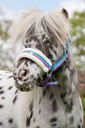 Licol HKM Funny Horses, détail du rembourrage