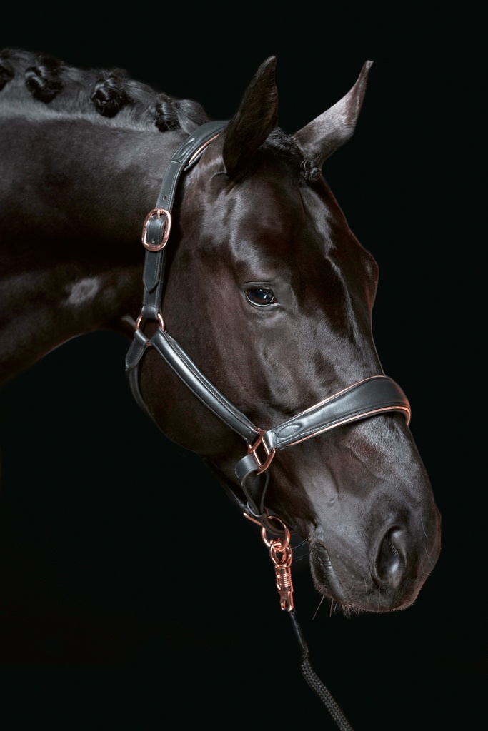 Licol en cuir HKM Rosegold, porté par le cheval