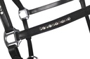 Licol en cuir HKM Sparkle, détail des pierres scintillantes