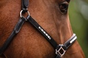 Licol en cuir HKM Sparkle, porté par le cheval
