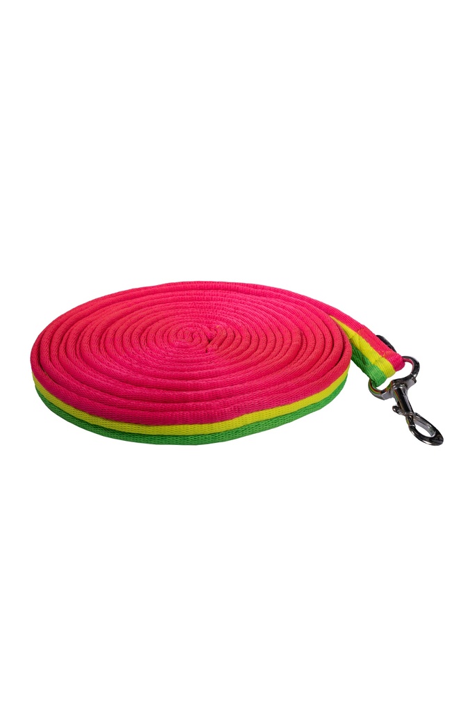Longe de travail HKM Kids Rainbow, vue d'ensemble