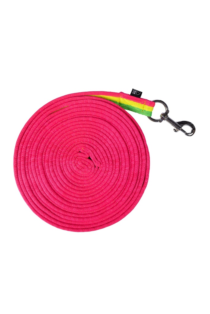Longe de travail HKM Kids Rainbow, en utilisation avec un poney