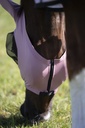 Masque anti-mouches HKM Elastic, porté par le cheval