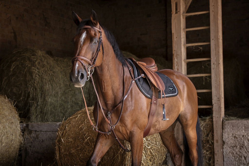 Collier de chasse ERIC THOMAS HYBRID