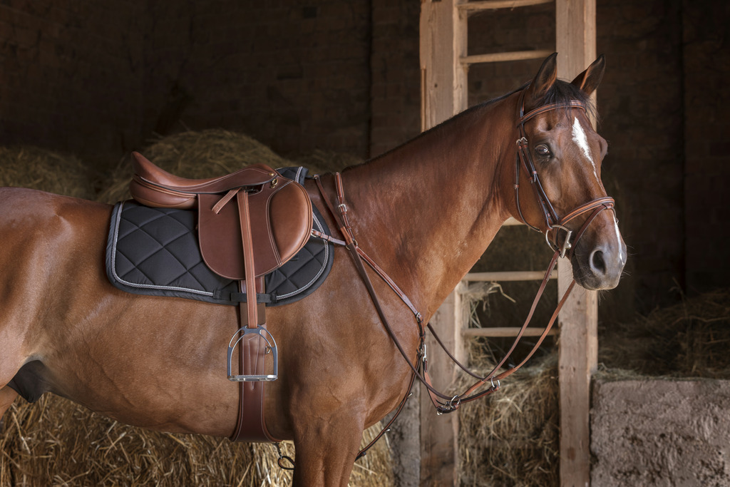 Collier de chasse ERIC THOMAS HYBRID