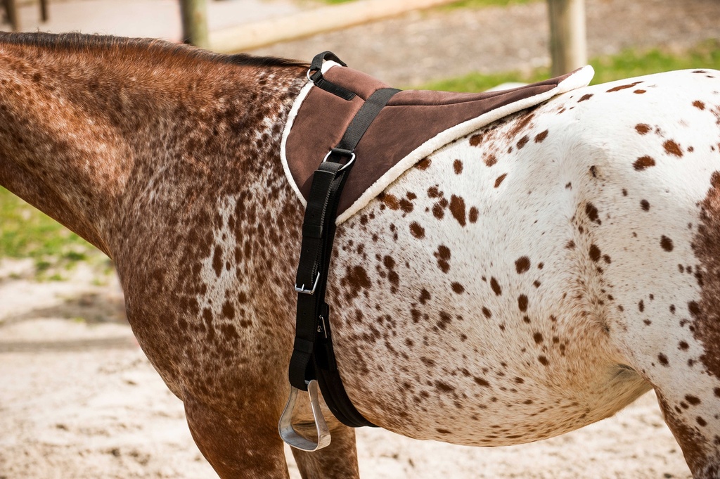 Tapis d'équitation à cru NORTON - Soft — vue 1
