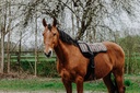 NORTON bareback équitation mat - Kiowa — vue 3