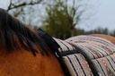 NORTON bareback équitation mat - Kiowa — vue 5