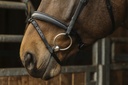 Bridon NORTON PRO "Dark"