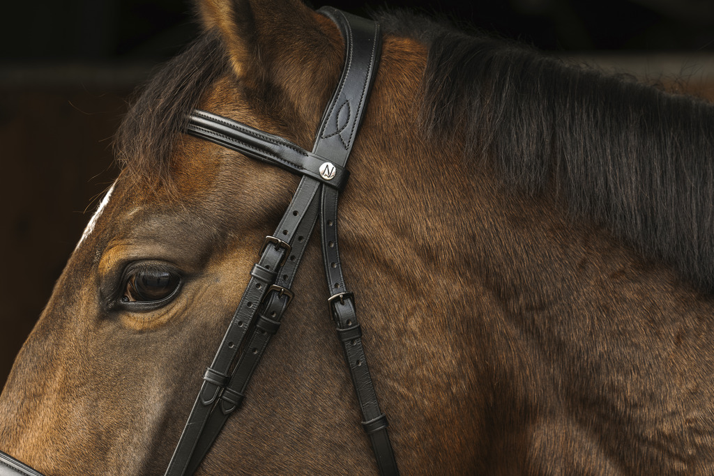 Bridon NORTON PRO "Dark"