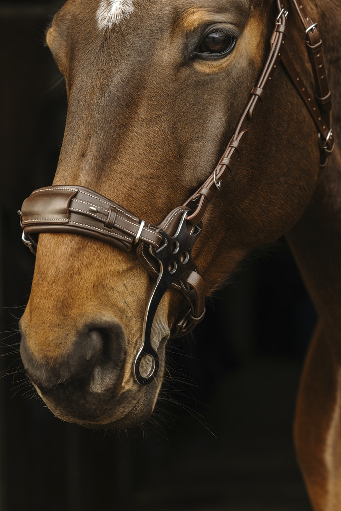 Bridon NORTON PRO "Hackamore"