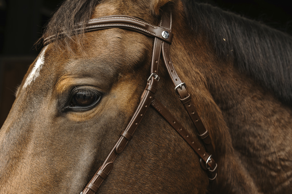 Bridon NORTON PRO "Hackamore"