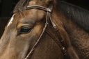 Bridon NORTON PRO "Hackamore"