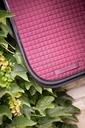 Couverture de dressage américaine PADDOCK - vue 3
