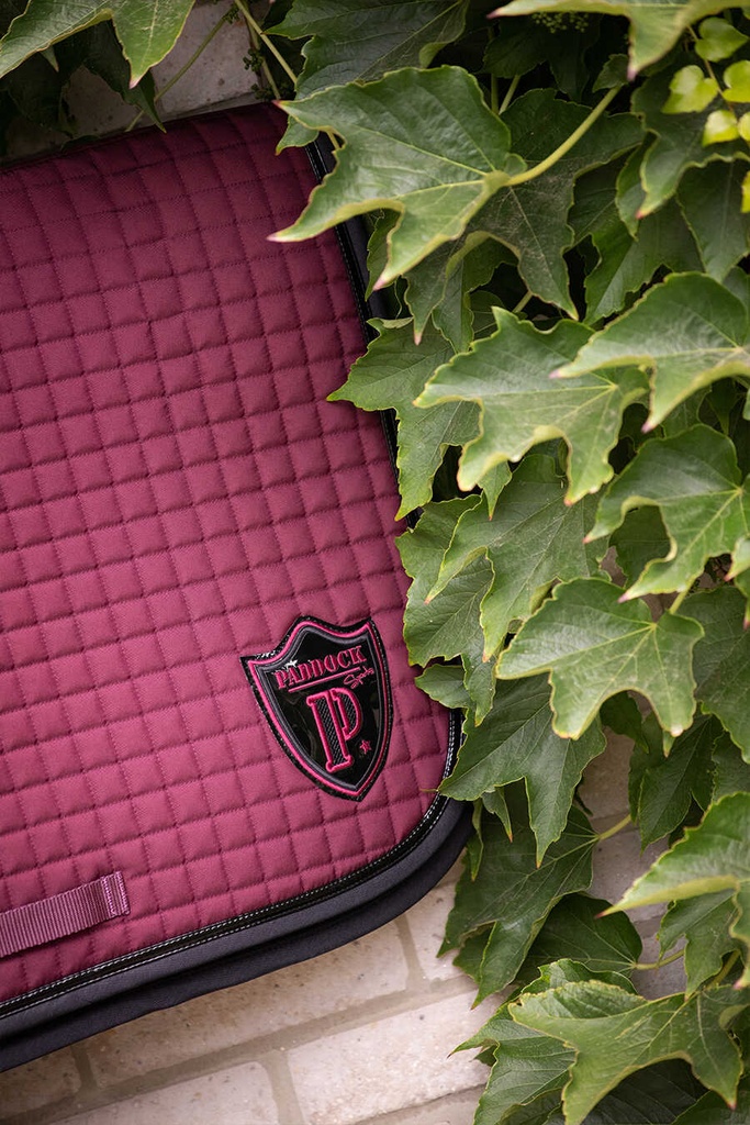 Couverture de dressage américaine PADDOCK - vue 4