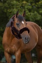 EQUITHÈME "Teddy" ensemble licol - vue 1